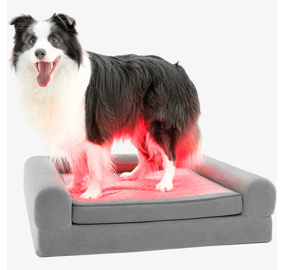 Beddie™ Pet Therapy Bed