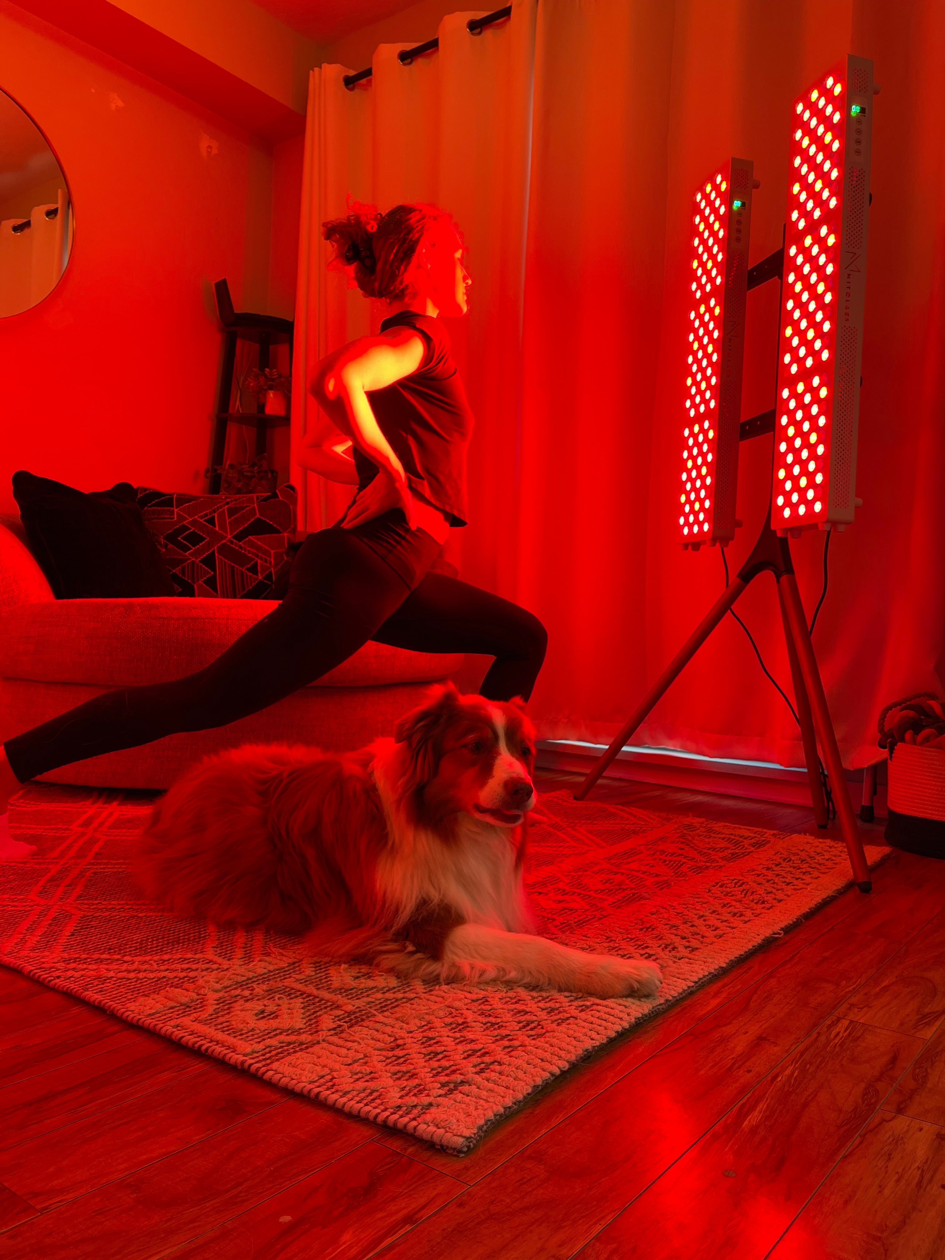 Kivo Pro 1000 Bundle: 2 x Pro 1000 & Easel Stand