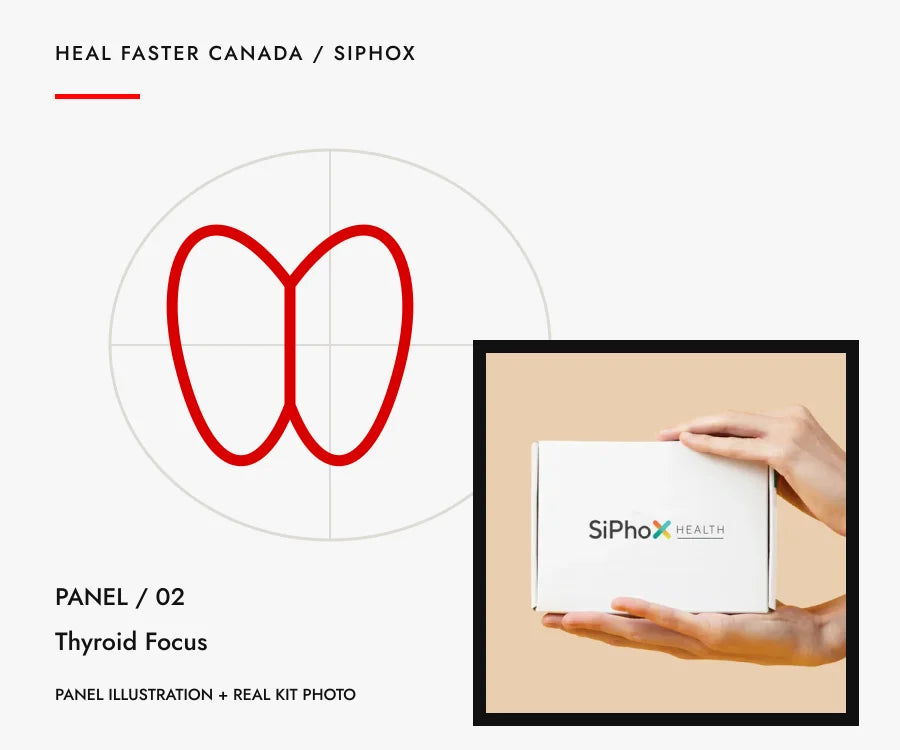 Thyroid Focus panel illustration with genuine SiPhox kit photograph